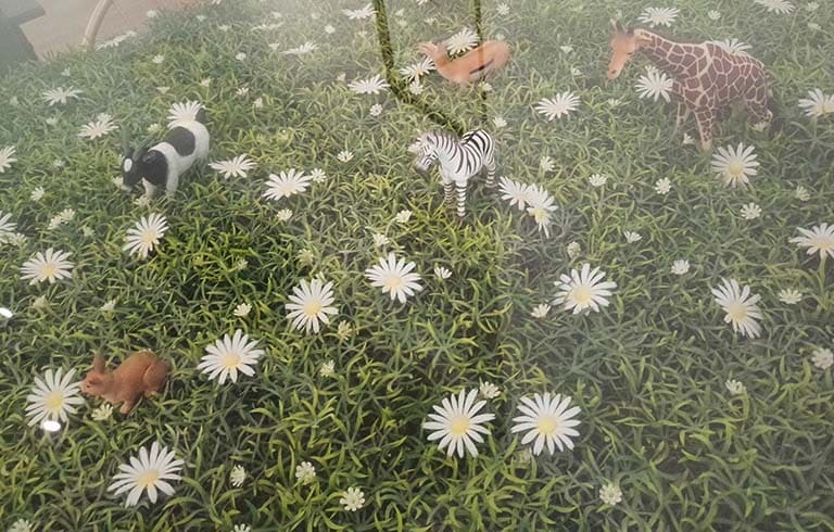 手工蛋糕