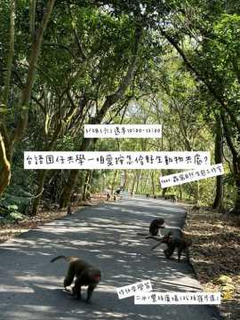 台語課程-【招團 】二水/台語囡仔共學—咱愛按怎佮野生動物共處？feat. 蟲窩自然生態工作室